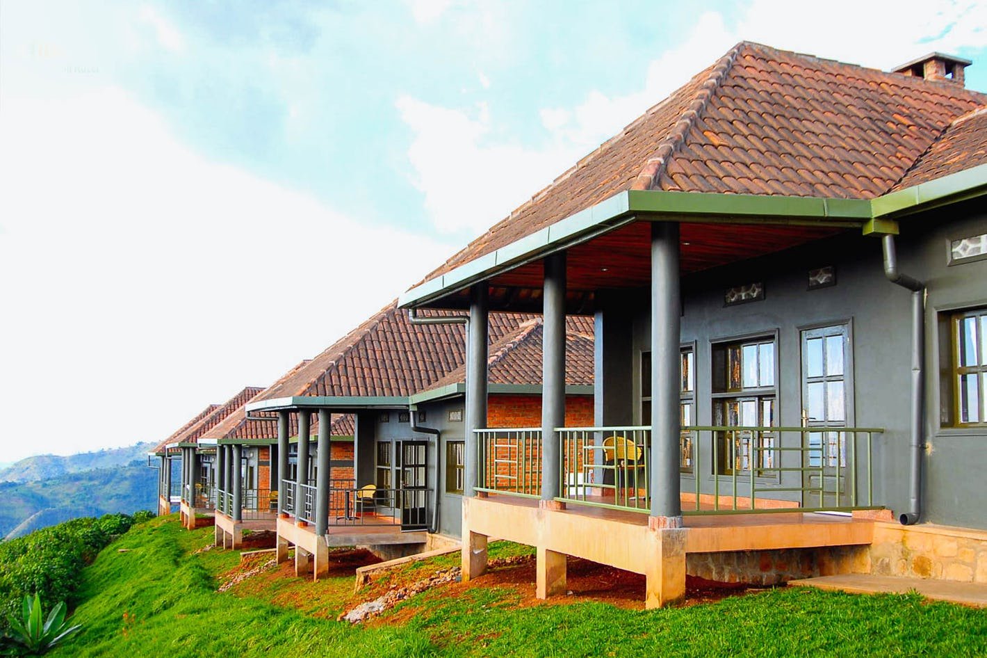 Kiambethu tea farm Limuru cottages